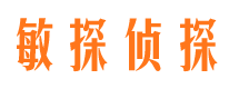 醴陵侦探调查公司